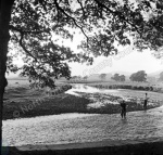 Fishing, River Yore, Hawes, 1964